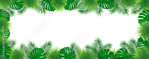 Amazon foliage vector background. tropical rainforest border frame with exotic tropic leaves, jungle plants and grass. Summer, travelling vacation card for textile print, invitation and promo designs. photo