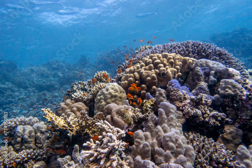 Red Sea Egypt submarine