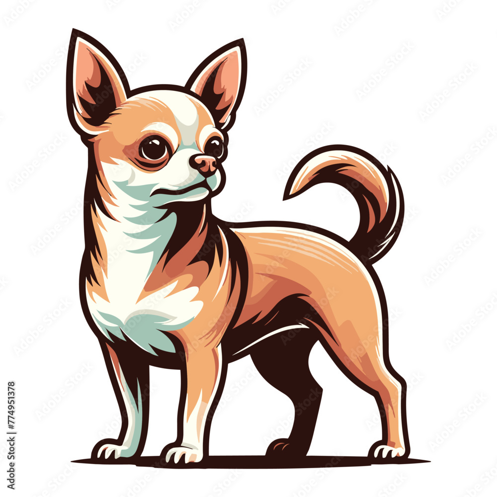 Cute chihuahua dog full body flat design illustration, standing purebred chihuahua doggy, funny adorable pet animal vector template isolated on white background