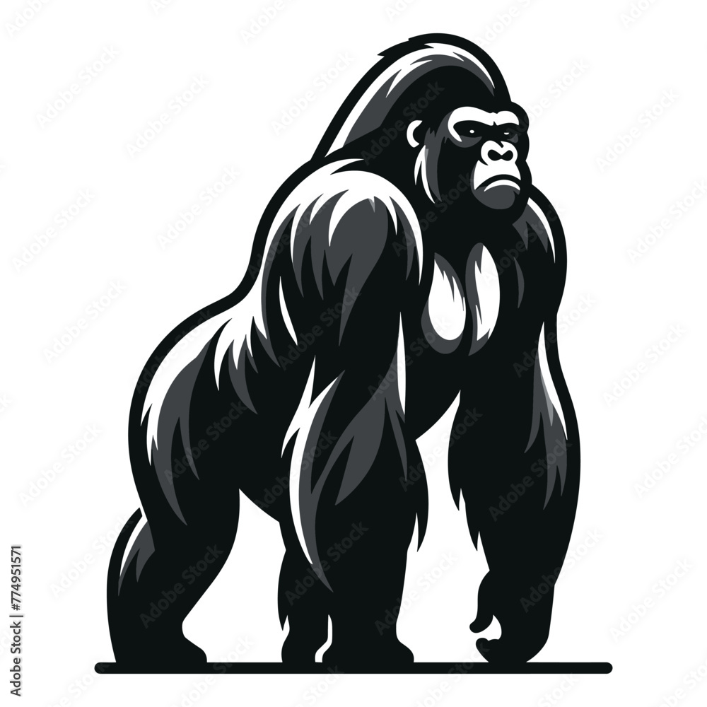 Fototapeta premium Wild gorilla full body design illustration, standing strong big ape concept, primate animal zoology element illustration, vector template isolated on white background