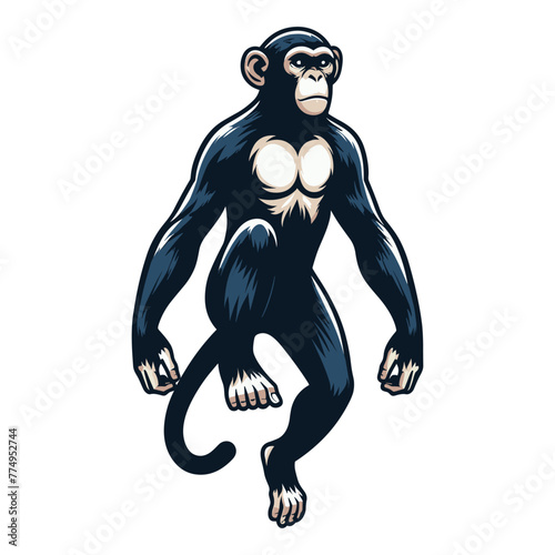 Monkey ape chimpanzee full body vector illustration  wild animal primate  standing monkey illustration concept  design template isolated on white background