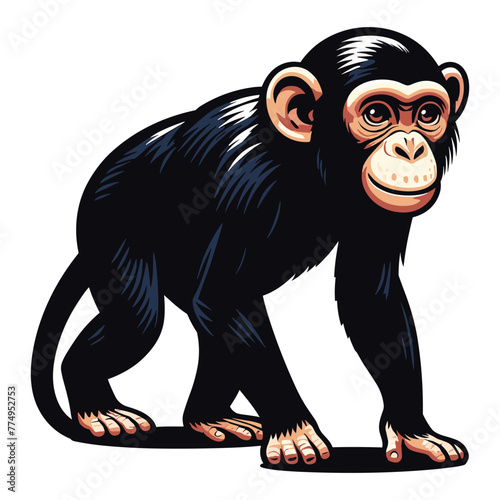 Monkey ape chimpanzee full body design illustration  standing monkey illustration concept  wild animal primate  vector template isolated on white background