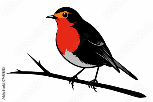 Bird european robin silhouette vector illustration