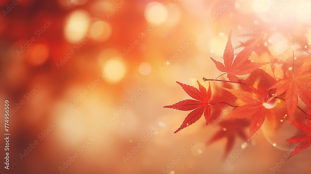 Brown and orange maple leaves wallpaper in autumn with blurred background