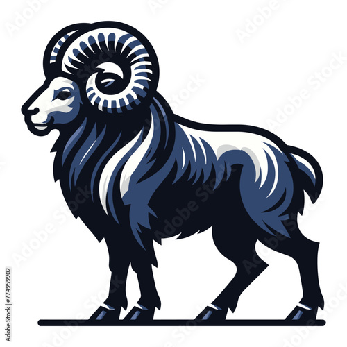Horned ram bighorn sheep full body vector illustration, animal livestock, farm pet, agriculture concept, butchery meat shop element design isolated on white background