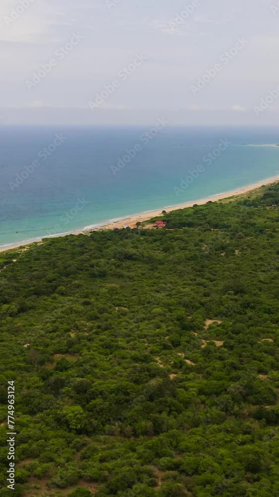 Aerial view of sandy beach with palm trees and ocean surf with waves. Sri Lanka. Vertical video. Aerial view of sandy beach with palm trees and ocean surf with waves. Sri Lanka. Vertical video.