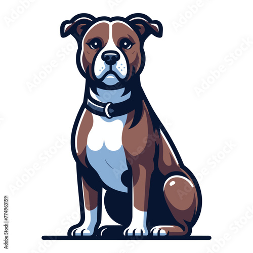 Pitbull bulldog full body vector illustration, Full-length portrait of a sitting animal pet pitbull terrier dog. Design template isolated on white background