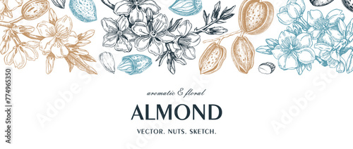 Almond background. Blooming branches, flowers, almond nut sketches. Hand drawn vector illustration. Botanical banner. NOT AI generated