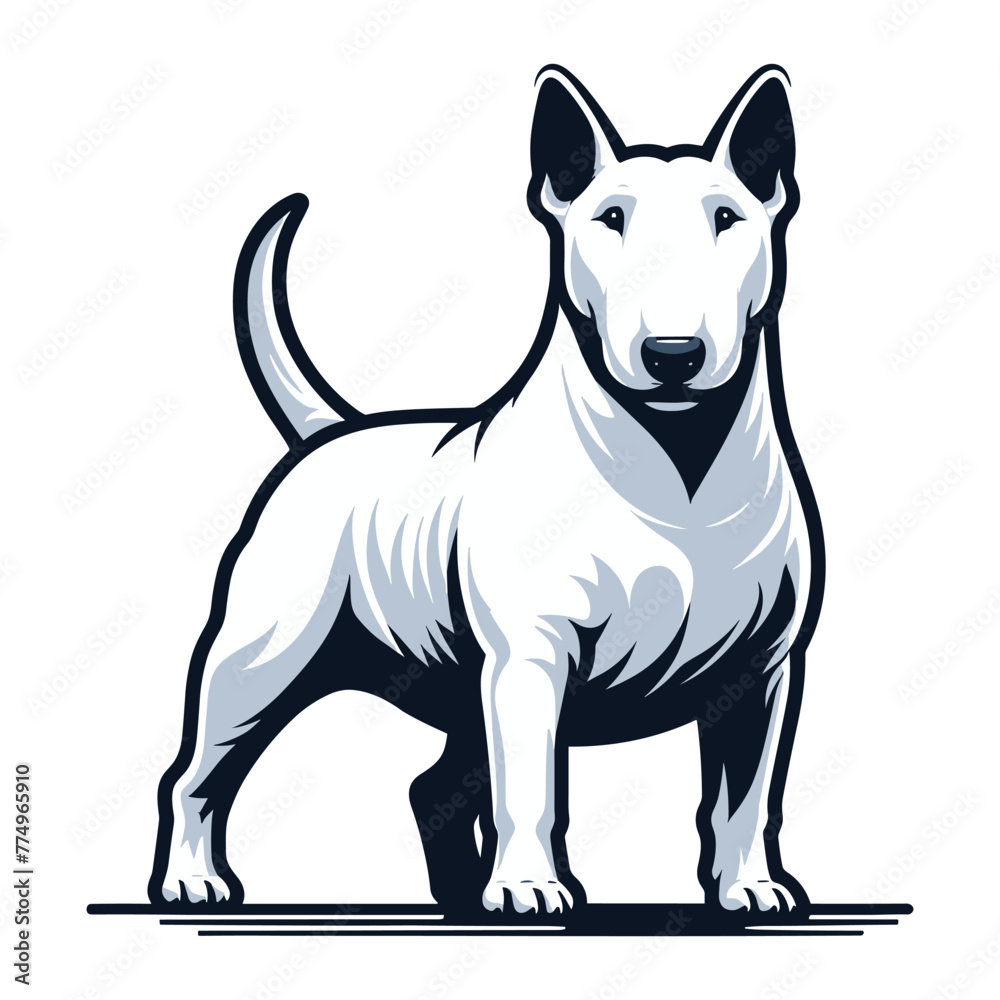 Bull terrier dog full body vector illustration, cute adorable funny pet animal, standing purebred dog concept design template isolated on white background Bull terrier dog full body vector illustration, cute adorable funny pet animal, standing purebred dog concept design template isolated on white background