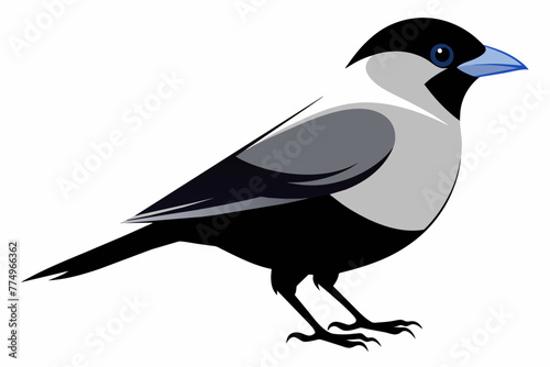 silver breasted broadbill bird silhouette black vector illustration