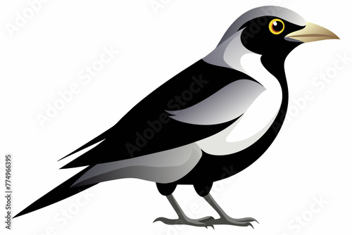 silver breasted broadbill bird silhouette black vector illustration