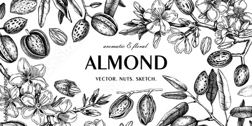 Almond background. Blooming branches, flowers, almond nut sketches. Hand drawn vector illustration. Botanical frame design. NOT AI generated