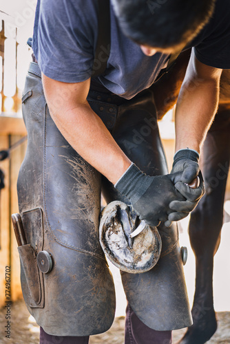 The farrier trims and rasps off the excess hoof wall from the horse's hoof to shorten it in the barn.