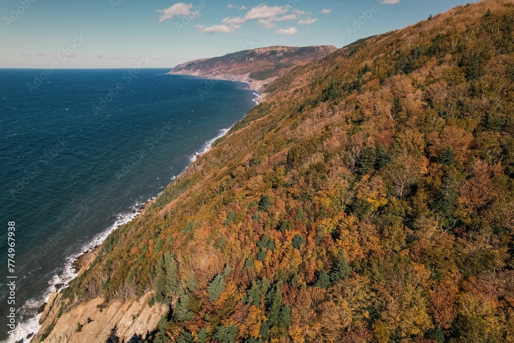 Aerial shot of colorful autumn trees on a mountainside against the blue sea