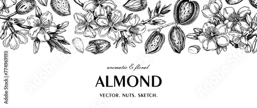 Almond background. Blooming branches, flowers, almond nut sketches. Hand drawn vector illustration. Vinatge botanical banner. NOT AI generated