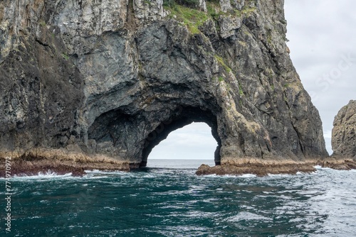 Closeup of a hole in the rock, Piercy Island, New Zealand