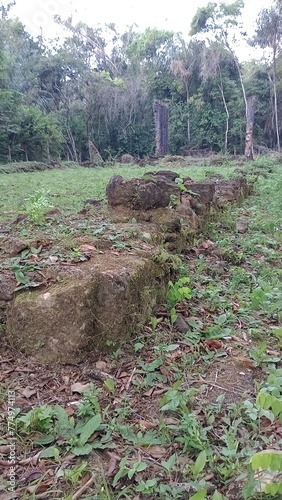 ruínas de mazagão velho, amapá  photo