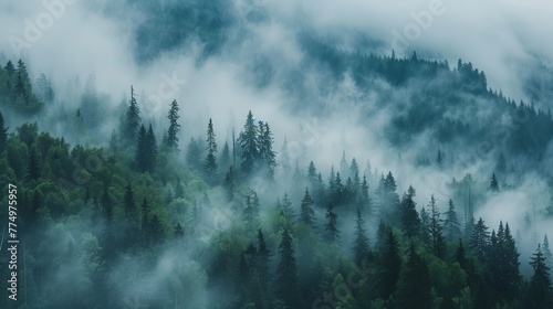 A mysterious mountain forest scene engulfed in fog AI generated illustration