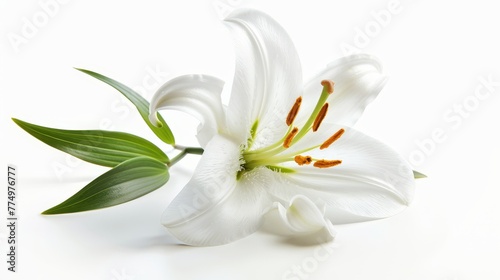 A single lily symbolizing purity and resurrection ag  AI generated illustration