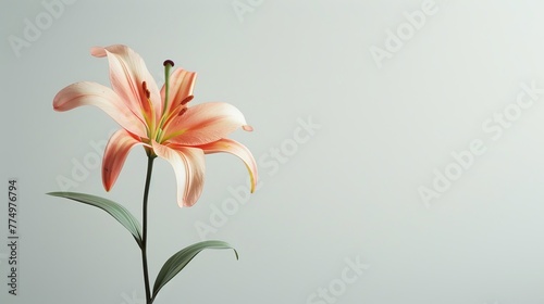 A single lily symbolizing purity and resurrection ag AI generated illustration