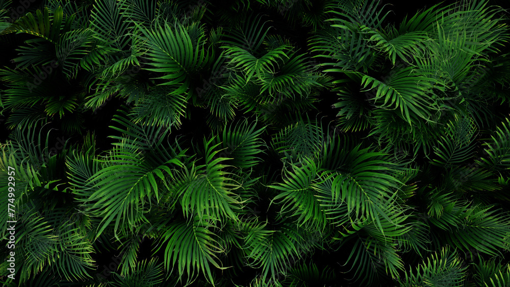 3D Render Palm Tree Nature Landscape