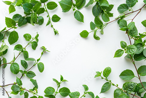 Green leaves frame. Herbal foliage border decoration on a white background. Top view in copy space with a place for text. For invitations  weddings  greeting cards. Generative AI