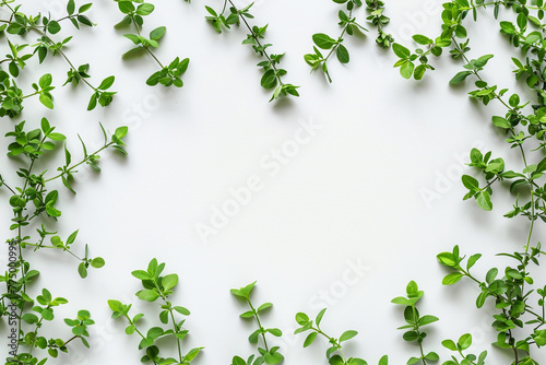 Green leaves frame. Herbal foliage border decoration on a white background. Top view in copy space with a place for text. For invitations, weddings, greeting cards. Generative AI