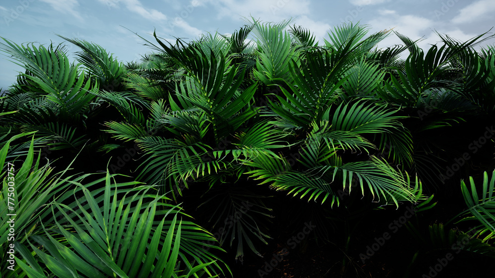 3D Render Palm Tree Nature Landscape