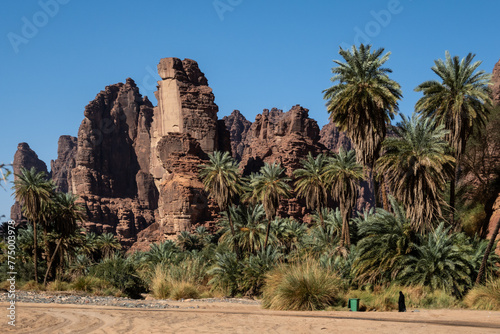 Wadi Al Disah, a famous stunning canyon and oasis near Tabuk in Saudi Arabia in the middle east photo