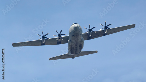 C130 Hercules livrée claire photo