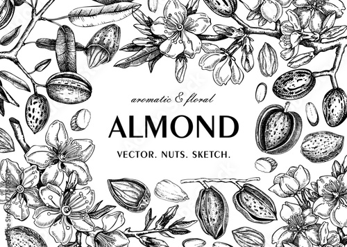 Almond frame design. Spring background. Blooming  branches, nuts, flower sketches. Healthy food hand-drawn illustration of almond nuts. NOT AI generated