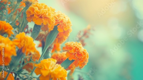 Serene Orange Marigold Bouquet on Pastel Background