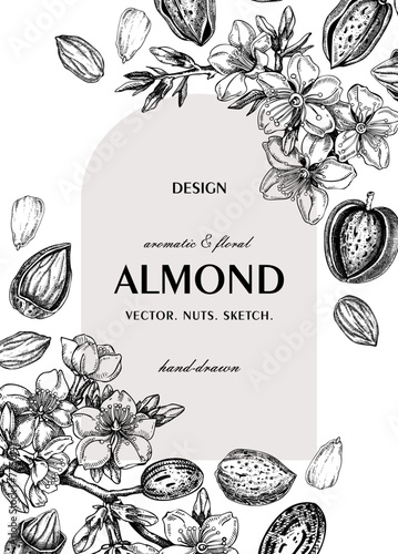 Almond nut frame, spring design. Blooming branches, nuts, flower sketches. Hand-drawn vector illustration. Greeting card or invitation template .  NOT AI generated