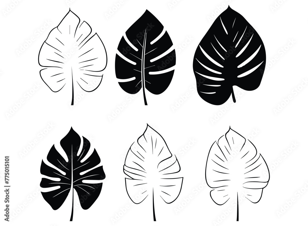 palm banana leaf silhouette vector.
