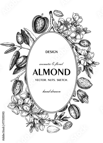 Almond nut wreath design.Blooming branches, nuts, flower sketches. Hand-drawn vector illustration. Botanical background. NOT AI generated
