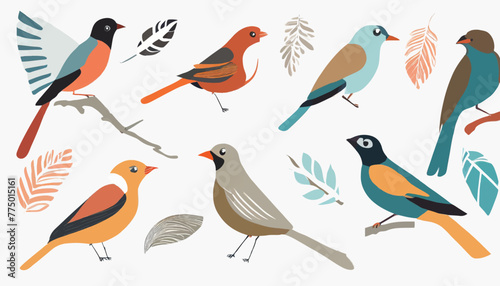 Assortment of Bird Vector Graphics Against a White Background © Hogr