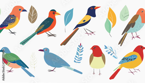 Assortment of Bird Vector Graphics Against a White Background photo
