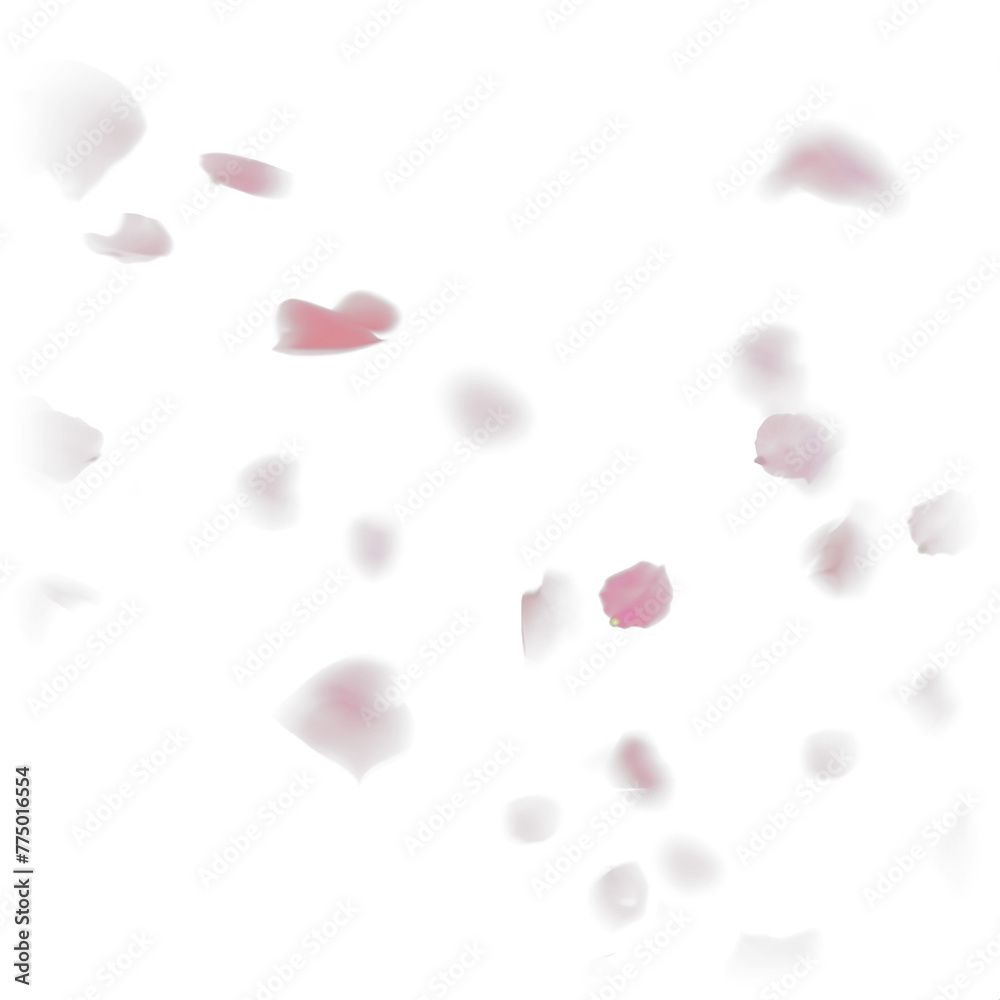  Pink rose flower petals transparent PNG overlays
