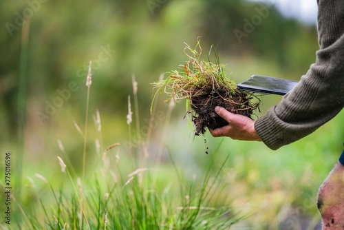holding soil in hand. study soil health. soil fungi storing carbon through carbon sequestration on a farm, receiving carbon credits