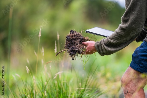 agricultural farmer Holding soil in a hand, feeling compost in a field in Tasmania Australia. soil scientist in australia, soil test photo