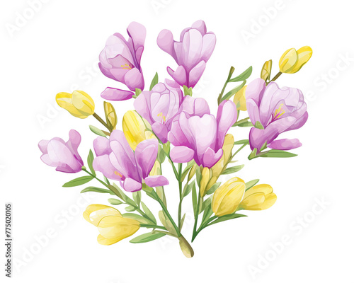 Freesias flowers remove background , flowers, watercolor, isolated white background © The PNG God