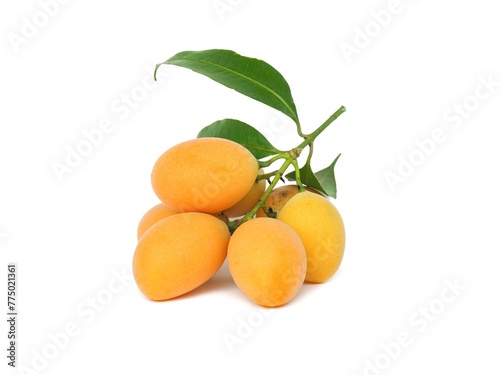 Fresh yellow organic sweet maprang  Sweet or sour fruit also called Marian Plum, isolated on white background.