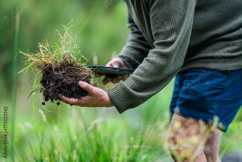 agricultural farmer Holding soil in a hand, feeling compost in a field in Tasmania Australia. soil scientist in australia, soil test photo