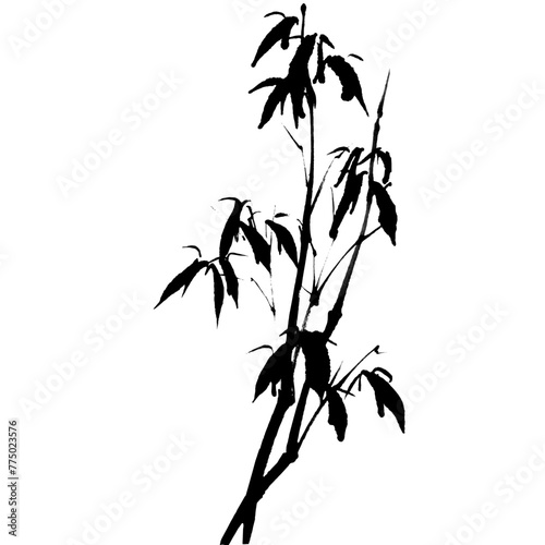 Watercolor vector of bamboo. Traditional chinese ink and wash painting.