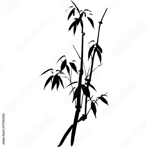 Watercolor vector of bamboo. Traditional chinese ink and wash painting