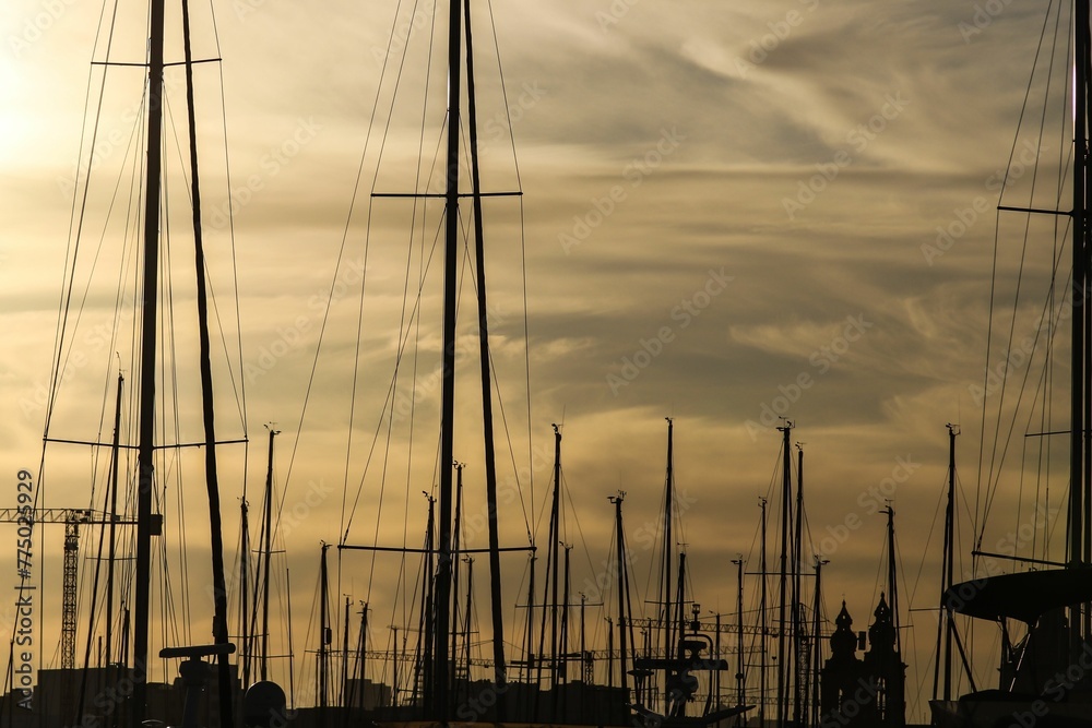 Group of sailboats docked in a harbor at sunset
