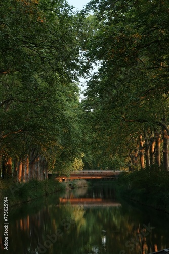 Bridge on a reflecting river surrounded by green trees evening sunlight
