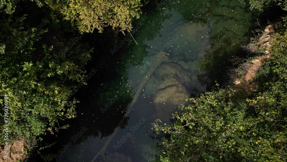 Aerial drone view of a fallen tree trunk in a river flowing through trees on a sunny day Aerial drone view of a fallen tree trunk in a river flowing through trees on a sunny day