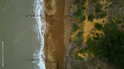 Aerial view of a sandy coastline