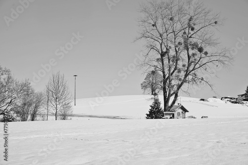 black and white shot of landscape with a snowy field and a hut under a tree. © Wirestock